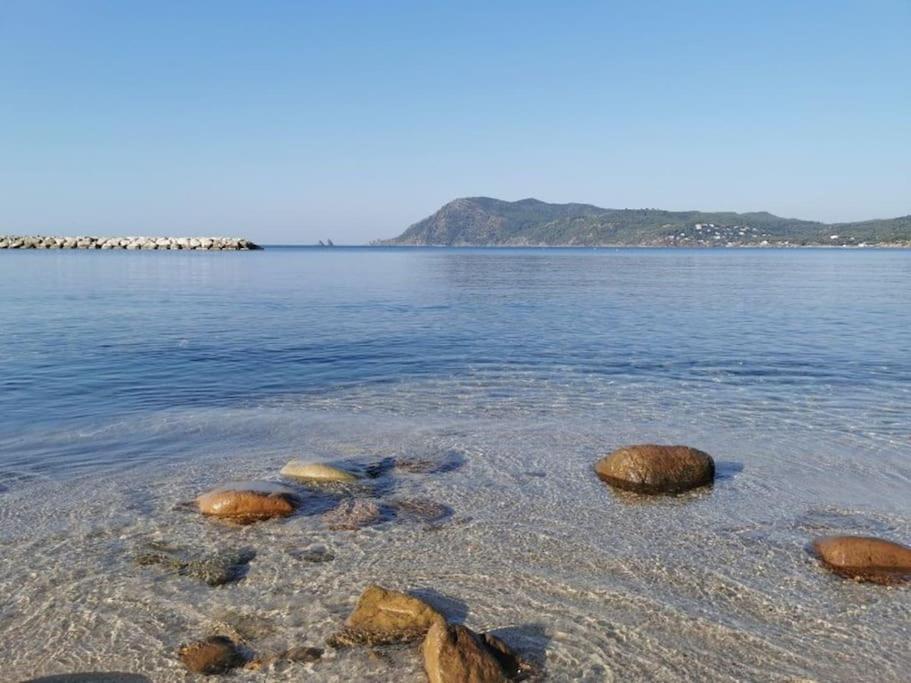 Studi'Hotel Coeur Sablettes Clim Parking H24 Total Autonomie La Seyne-sur-Mer Bagian luar foto